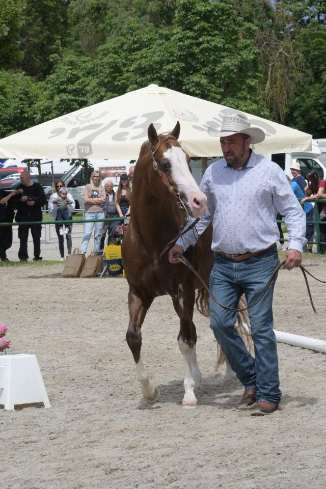 DSC_6503